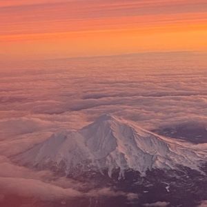 Meet your Posher, Lexi